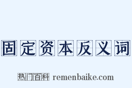 固定资本反义词是什么意思的图片
